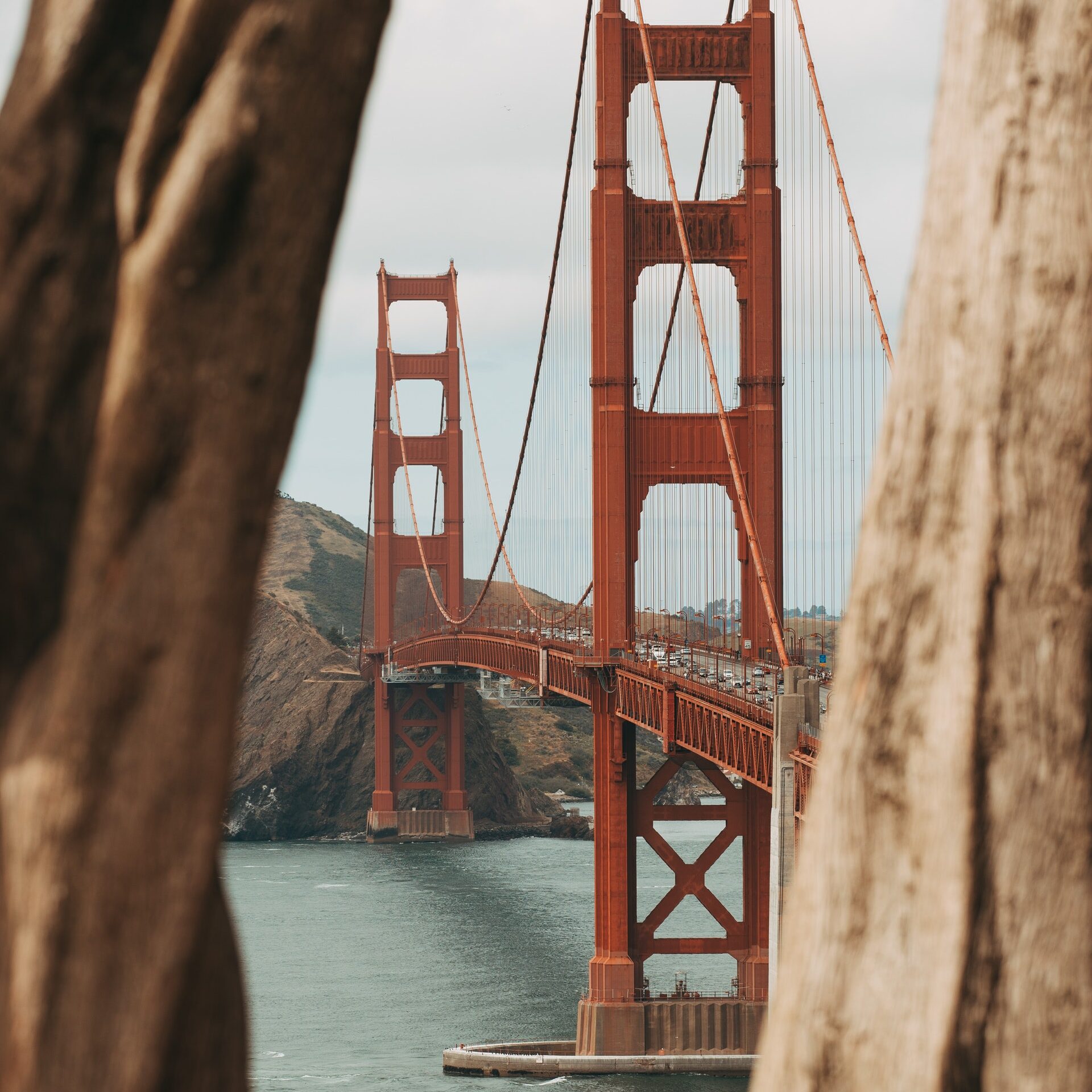 What does a Structural Engineer do - A Comprehensive List 2 What is Structural Engineering?